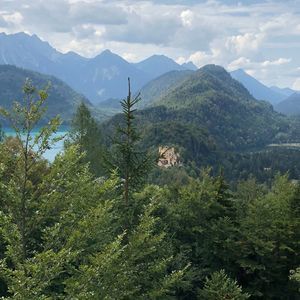 Meet your Posher, Bee